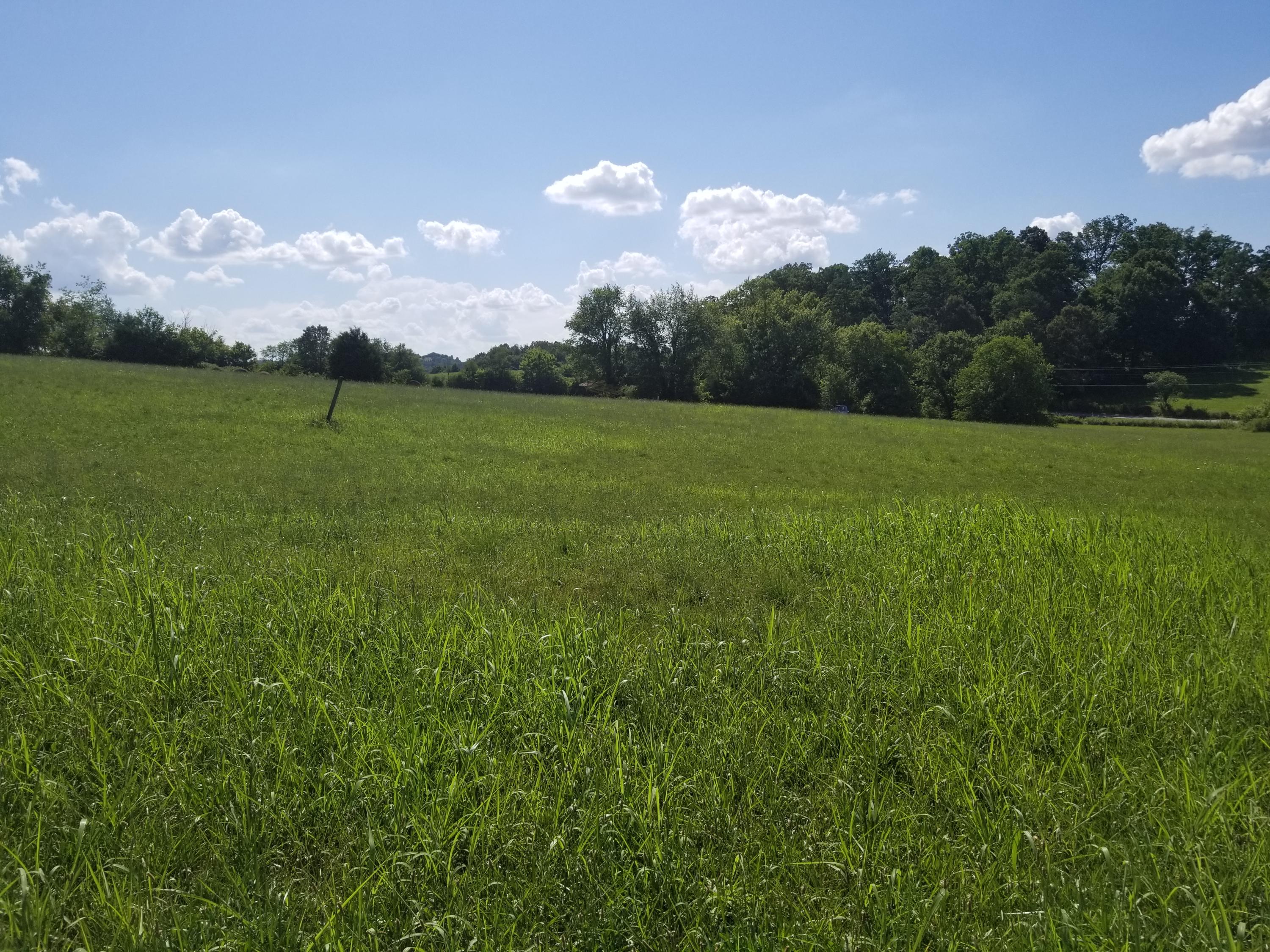 Lot 44 Greystone Road, Unit 44 Greeneville, TN 37743 - Photo 7 of 11 20200709_164128
