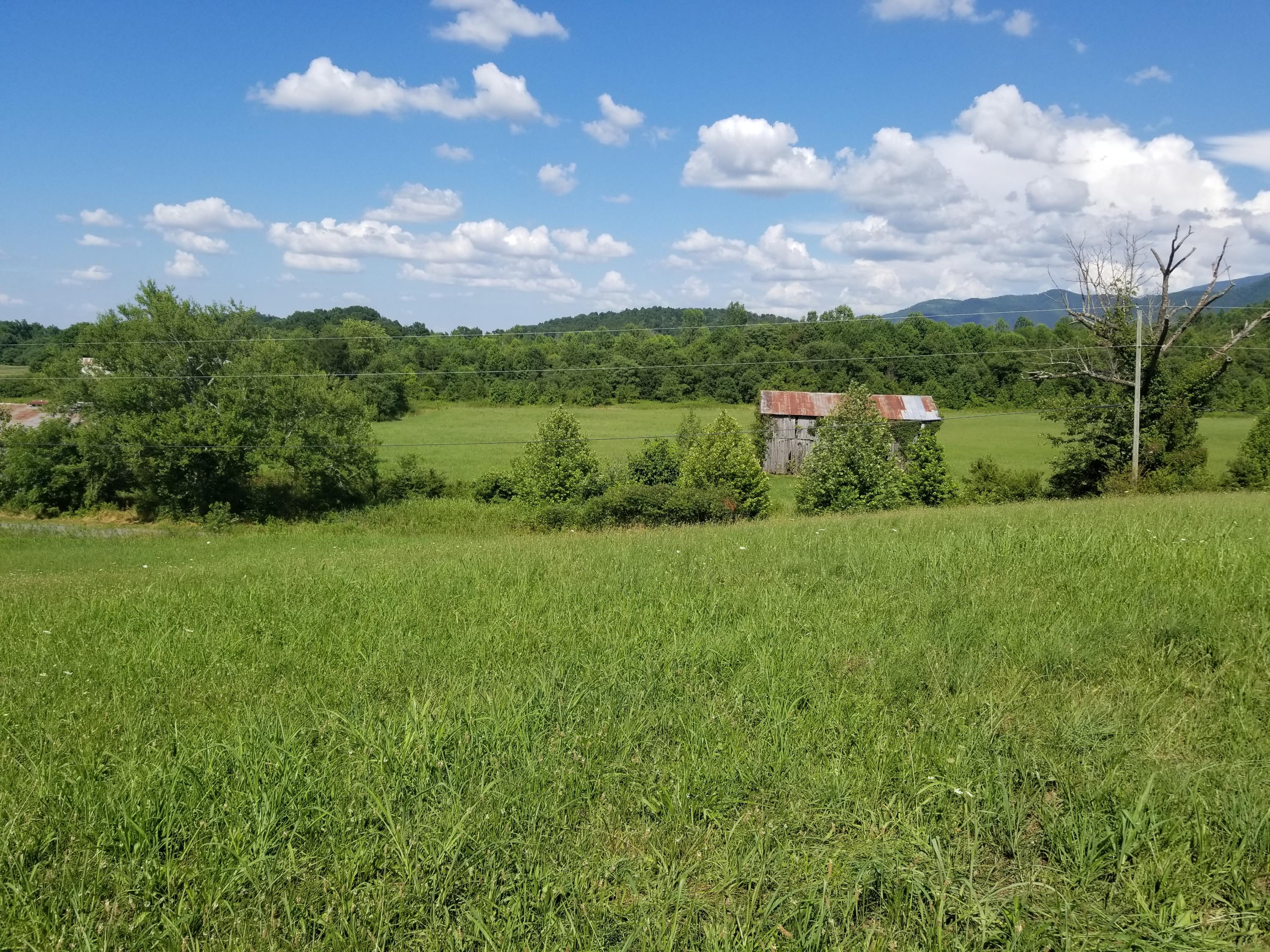 Lot 44 Greystone Road, Unit 44 Greeneville, TN 37743 - Photo 8 of 11 20200709_164123