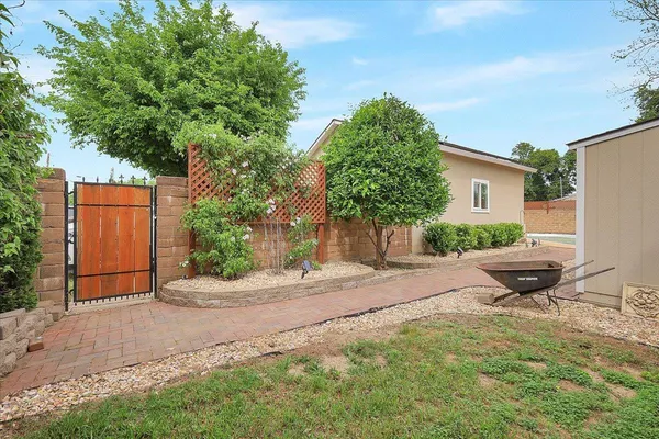 a view of a backyard with plants and a tree