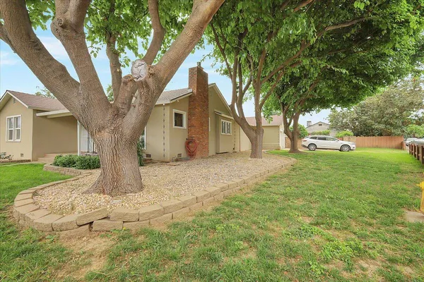 a tree in the garden of a house