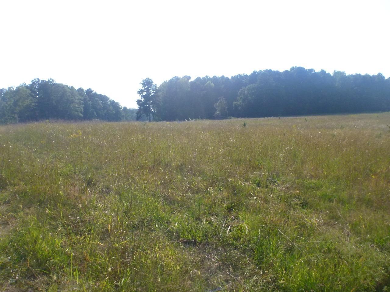 0 Tyrone Road, Unit LOT 2 Tyrone, GA 30290 - Photo 1 of 1 Rolling 5 Acres