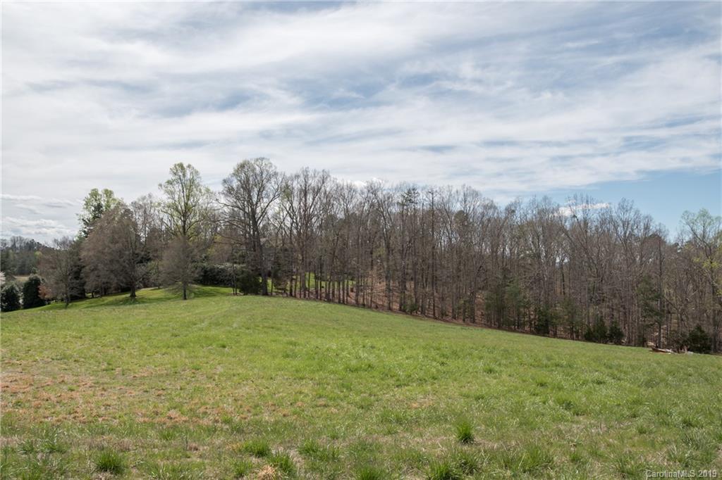 834 New Hope Road Rutherfordton, NC 28139 - Photo 33 of 35 a view of a grassy field with trees in the background
