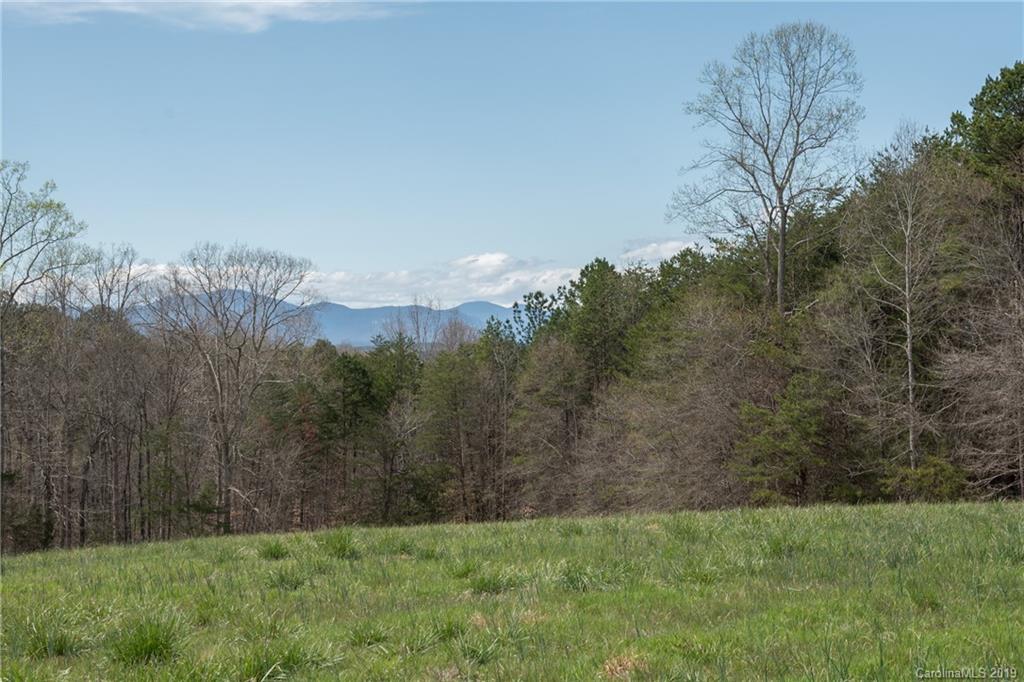834 New Hope Road Rutherfordton, NC 28139 - Photo 34 of 35 a view of a field with an trees