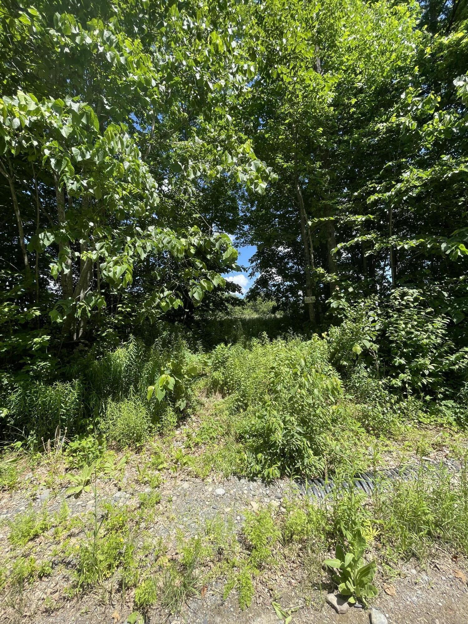 Lot 4 Harris Road Charleston, ME 04422 - Photo 6 of 6 IMG_8061