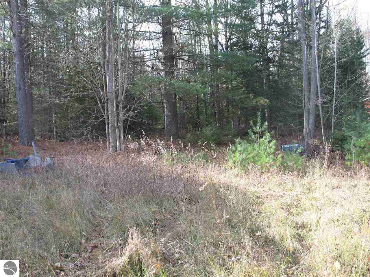 5780 Laird Lake Road Hale, MI 48739 - Photo 2 of 12