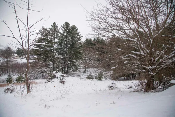 $328,000 | 1045 Saddle Ridge, Portage, WI 53901