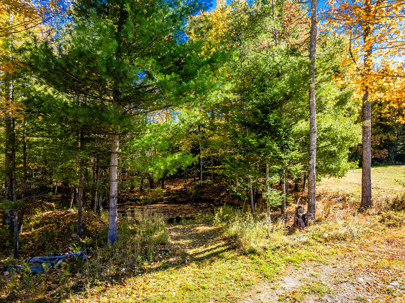 352 South Freedom Road Albion, ME 04910 - Photo 41 of 84 DJI_0013