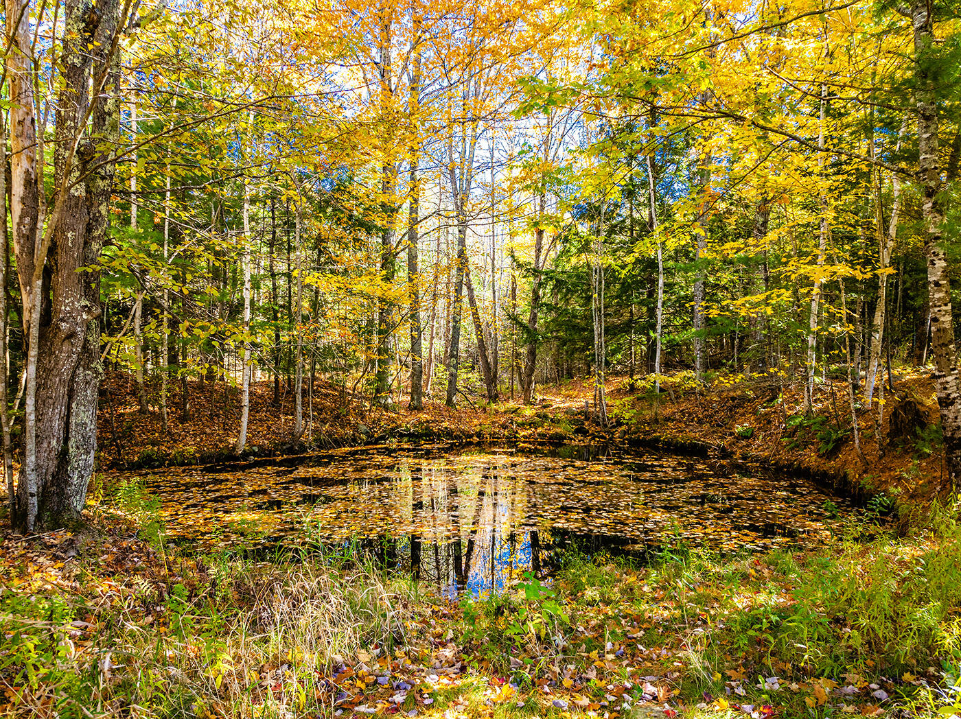 352 South Freedom Road Albion, ME 04910 - Photo 42 of 84 DJI_0014