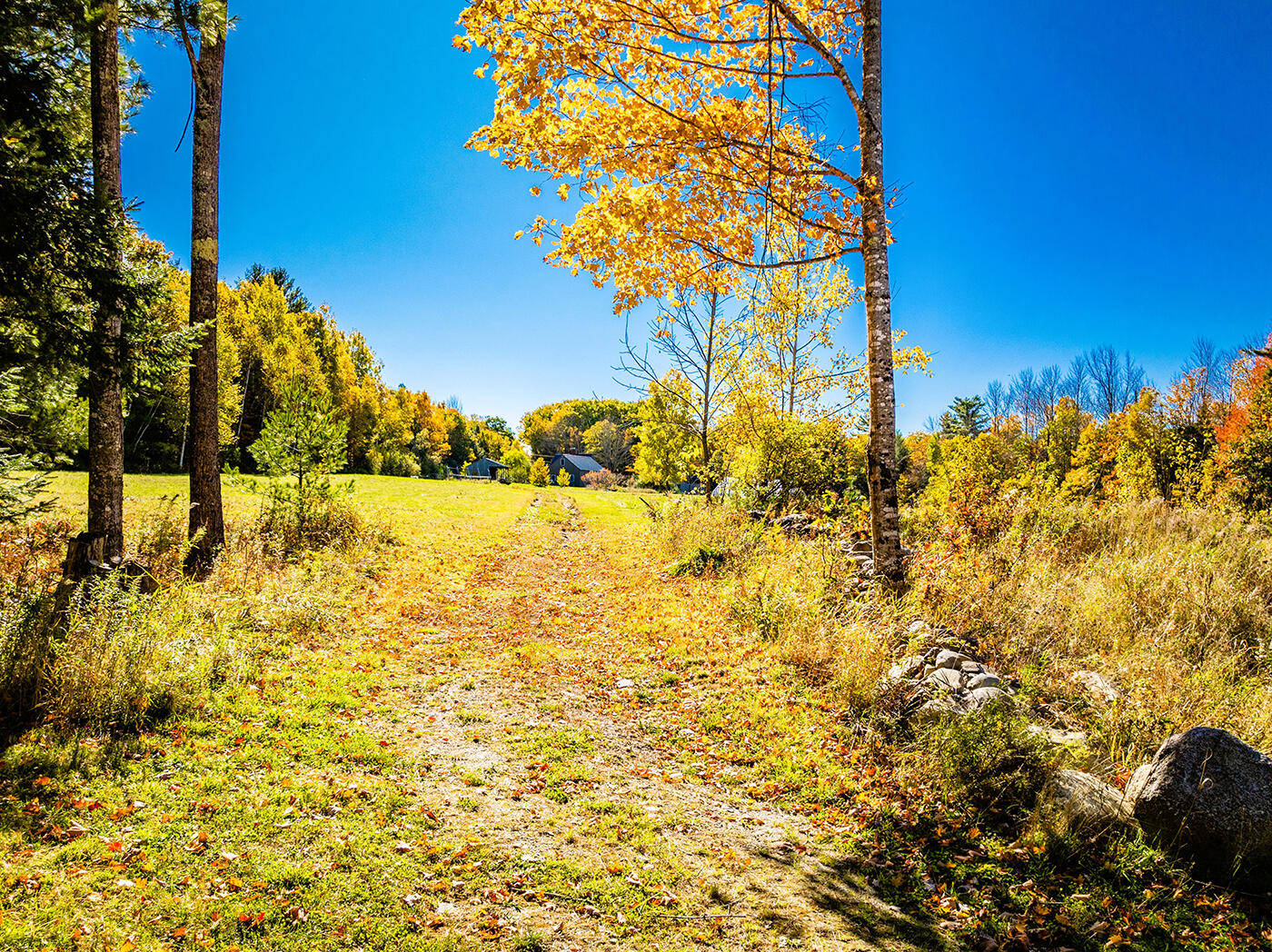 352 South Freedom Road Albion, ME 04910 - Photo 45 of 84 DJI_0017