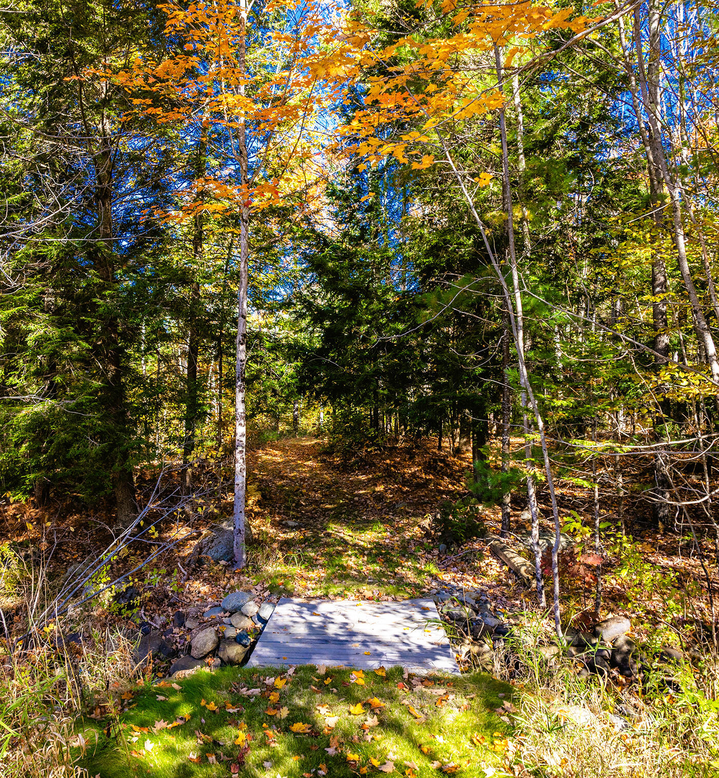 352 South Freedom Road Albion, ME 04910 - Photo 46 of 84 DJI_0018