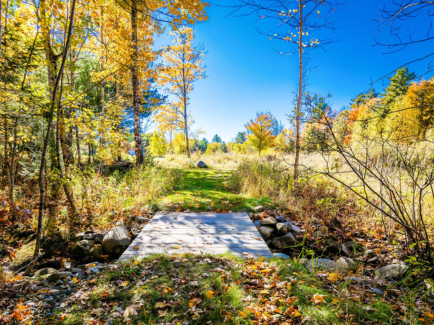 352 South Freedom Road Albion, ME 04910 - Photo 48 of 84 DJI_0021