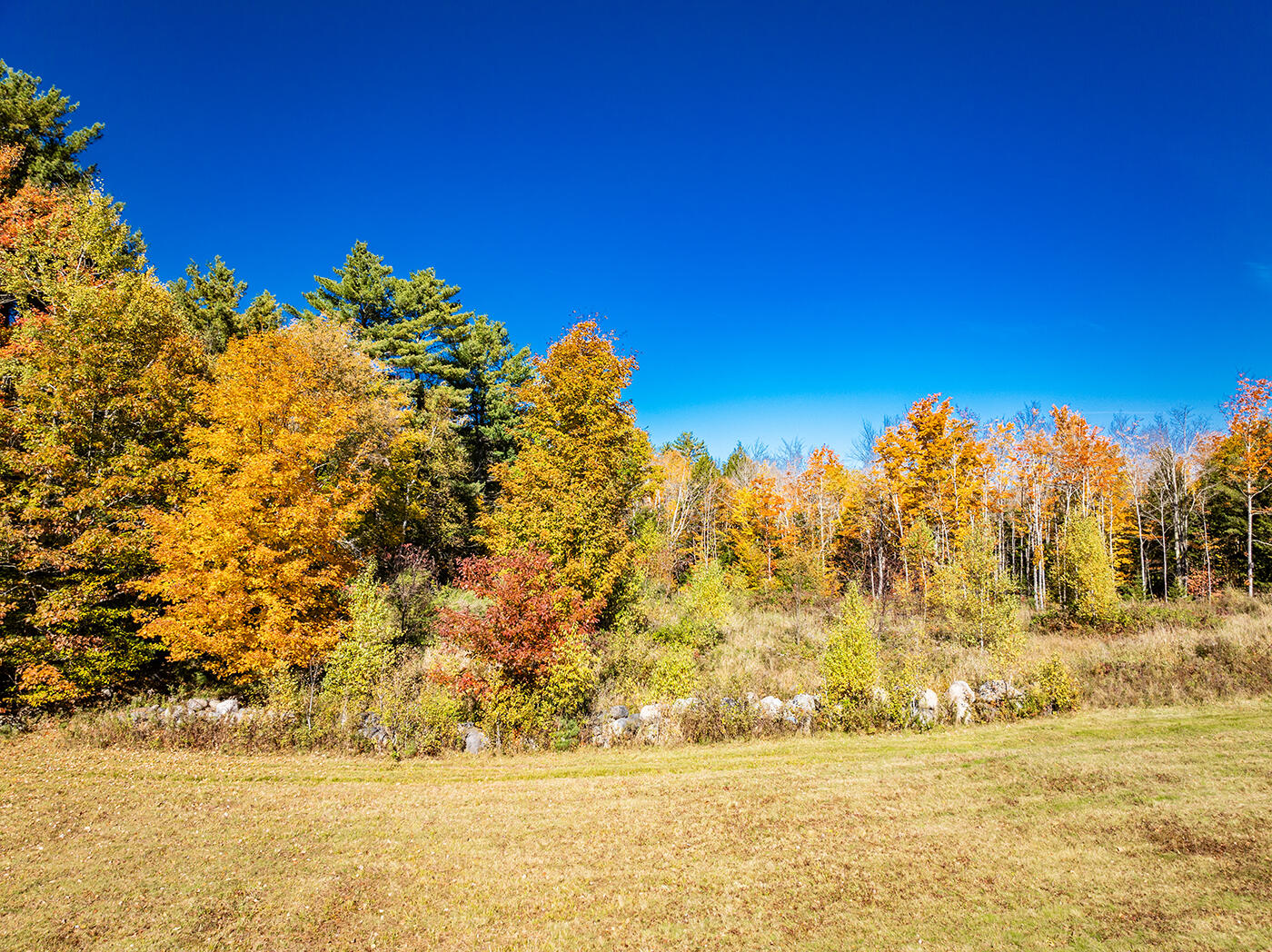 352 South Freedom Road Albion, ME 04910 - Photo 50 of 84 DJI_0023