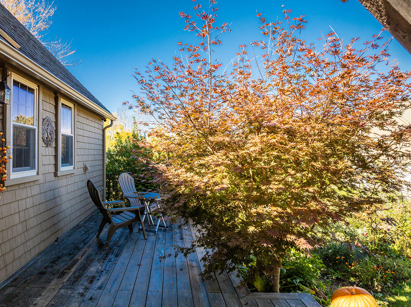 352 South Freedom Road Albion, ME 04910 - Photo 66 of 84 DJI_0047