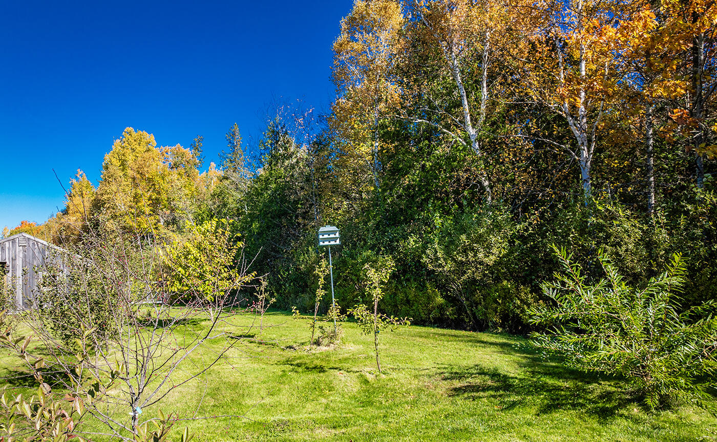352 South Freedom Road Albion, ME 04910 - Photo 67 of 84 DJI_0048
