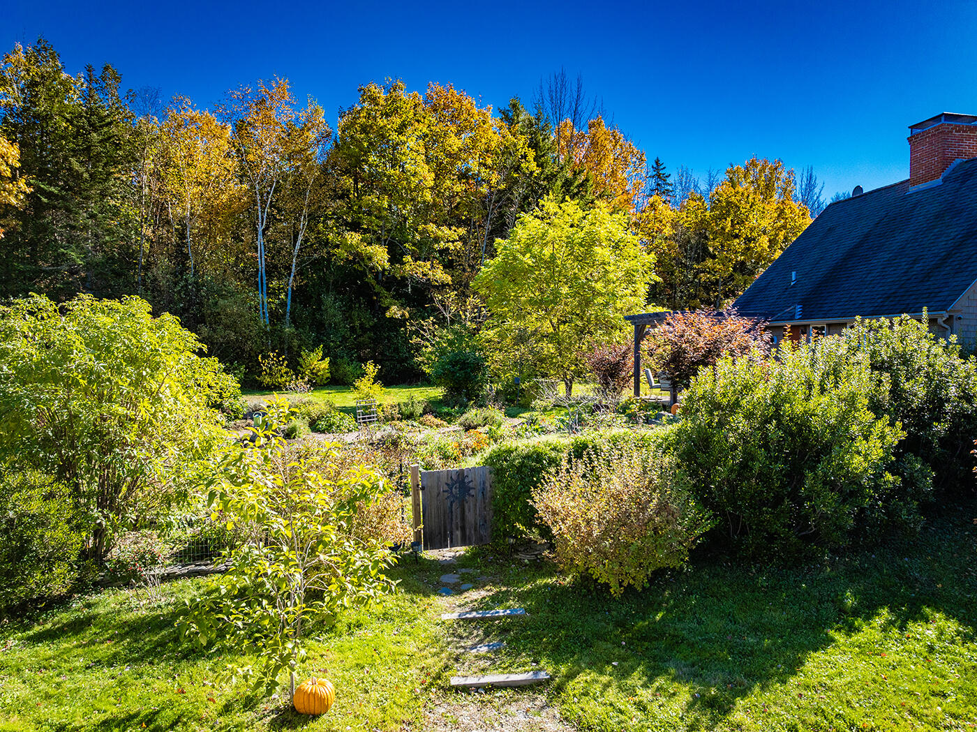 352 South Freedom Road Albion, ME 04910 - Photo 76 of 84 DJI_0063