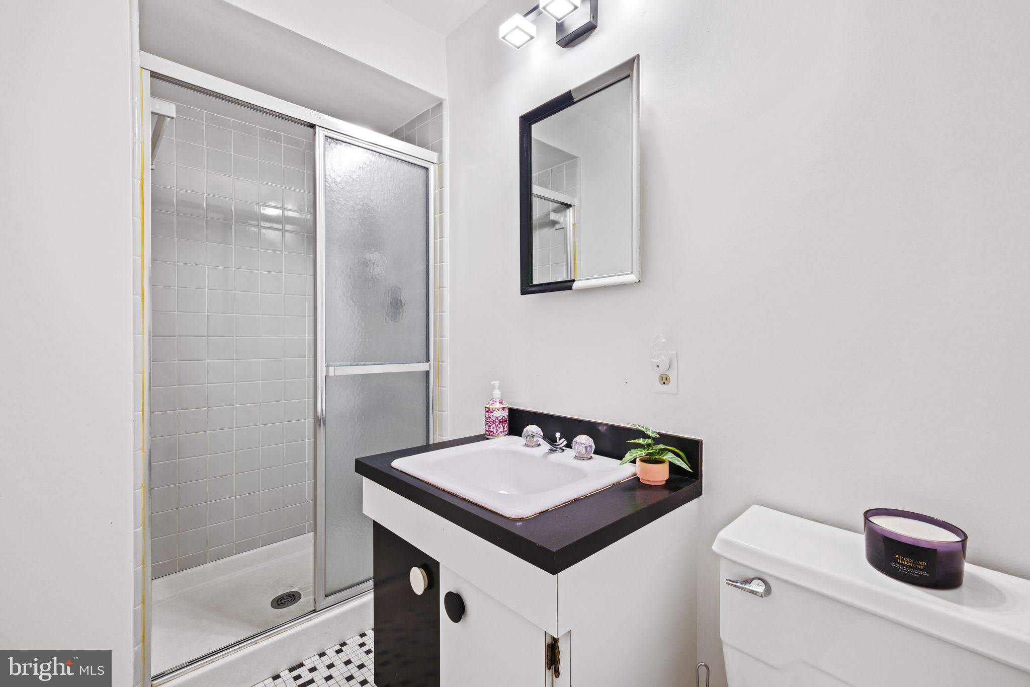 6204 Clearwood Road Bethesda, MD 20817 - Photo 46 of 63 Lower Level Bathroom