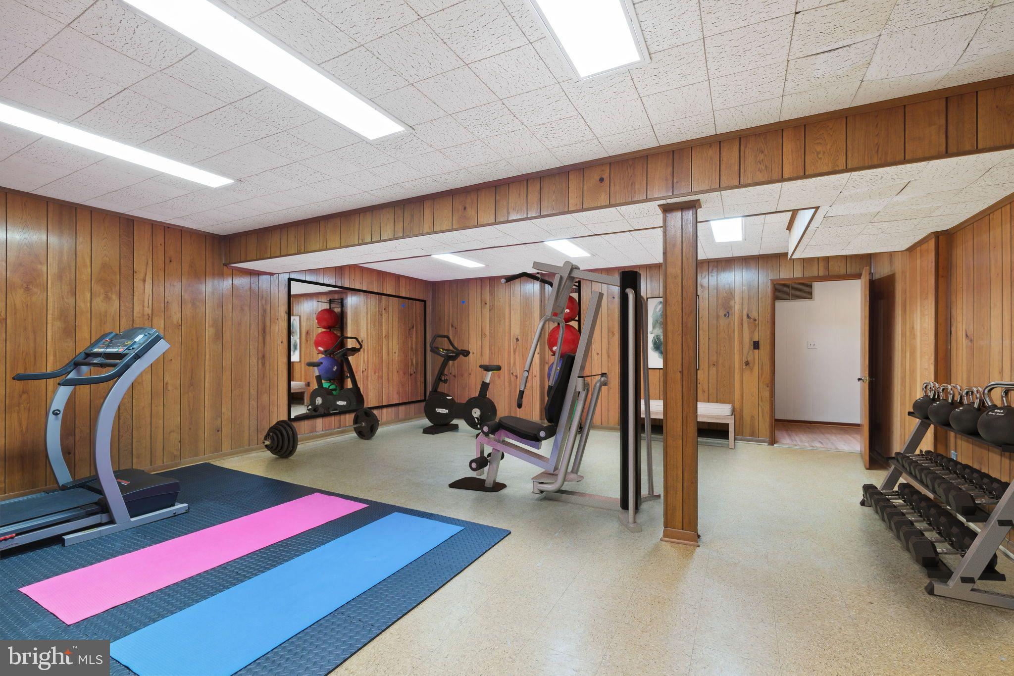 6204 Clearwood Road Bethesda, MD 20817 - Photo 50 of 63 Bonus Rec Room