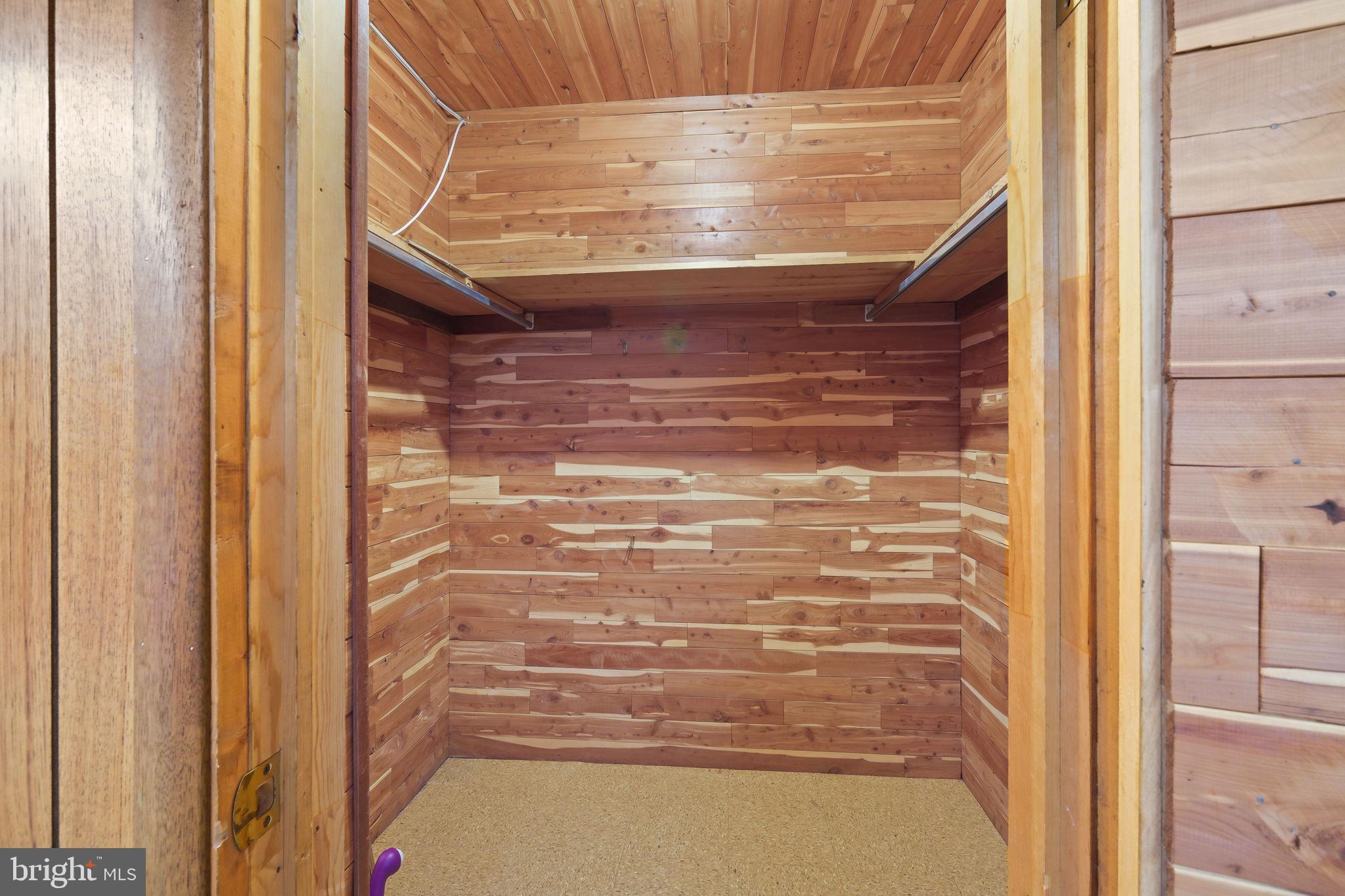 6204 Clearwood Road Bethesda, MD 20817 - Photo 52 of 63 Cedar Closet