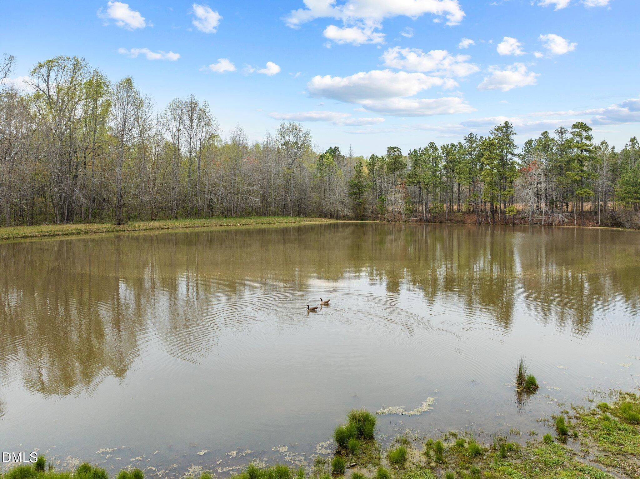 154 Hoyle Lane Henderson, NC 27537 - Photo 39 of 51 45-web-or-mls-DJI_0513