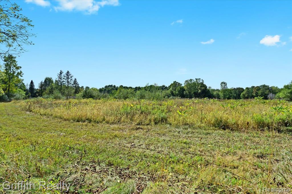 9800 Beeman Road Chelsea, MI 48118 - Photo 3 of 17