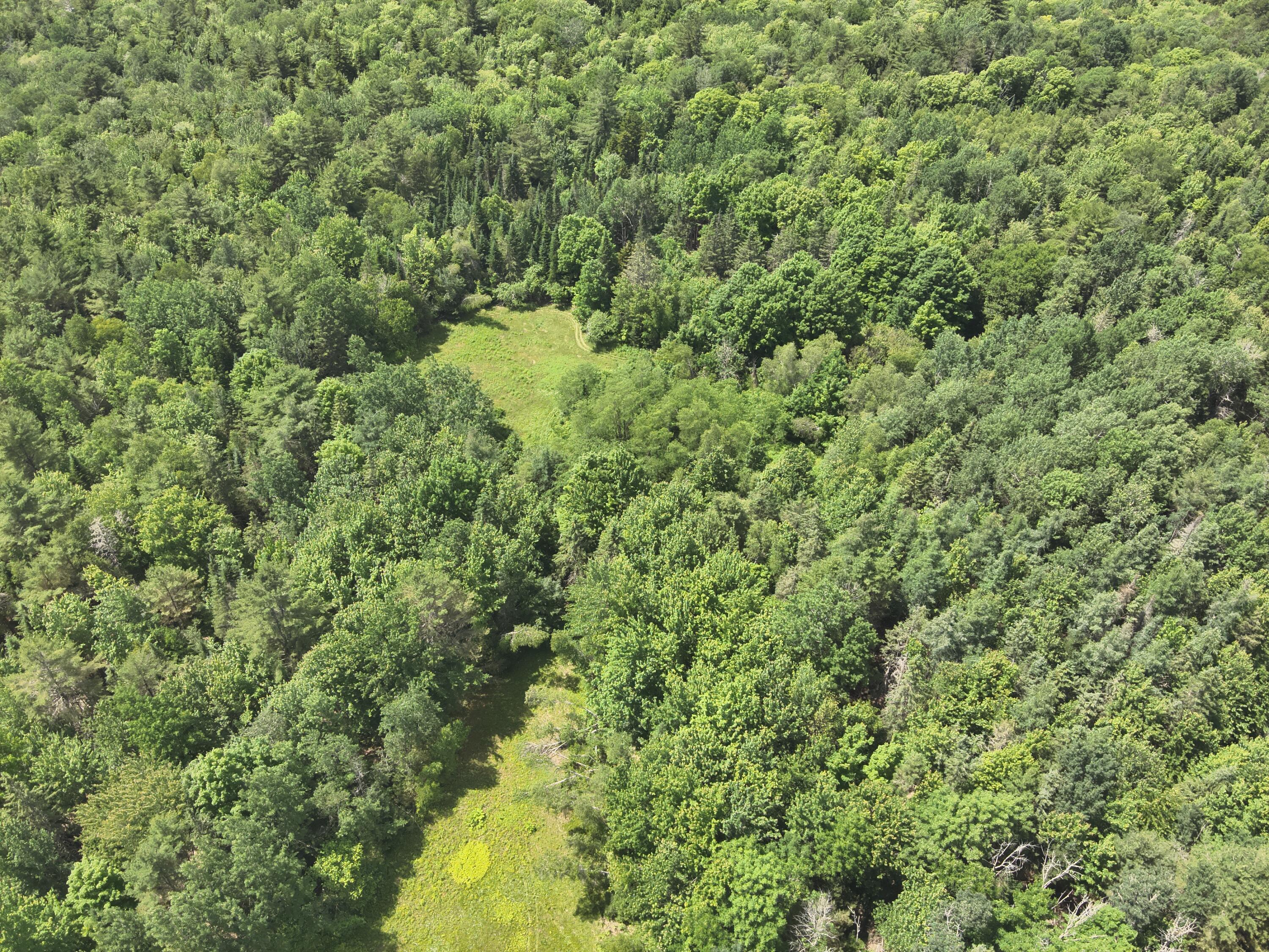 10 Carr Road Burlington, ME 04417 - Photo 9 of 21 DJI_20250627134935_0009_V
