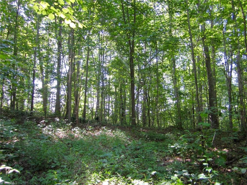 7371 Hidden View Drive Oak Ridge, NC 27310 - Photo 2 of 6 Perfect home site perched atop this lot with stunning views!