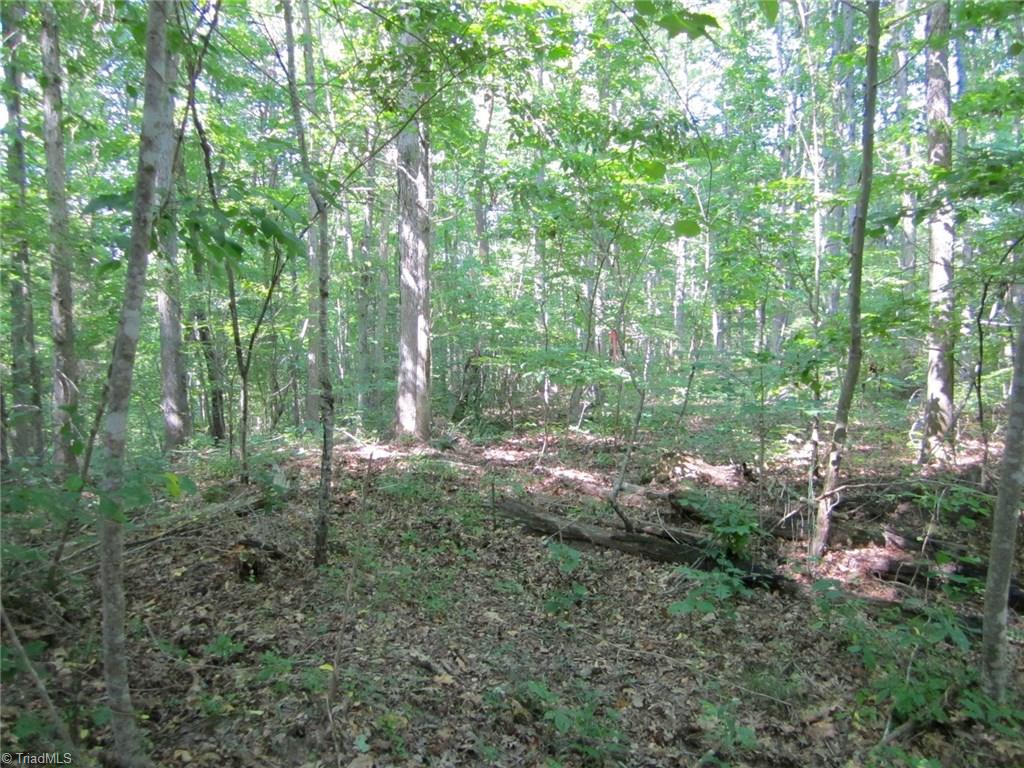 7371 Hidden View Drive Oak Ridge, NC 27310 - Photo 3 of 6 Another good flat building site on the lot!