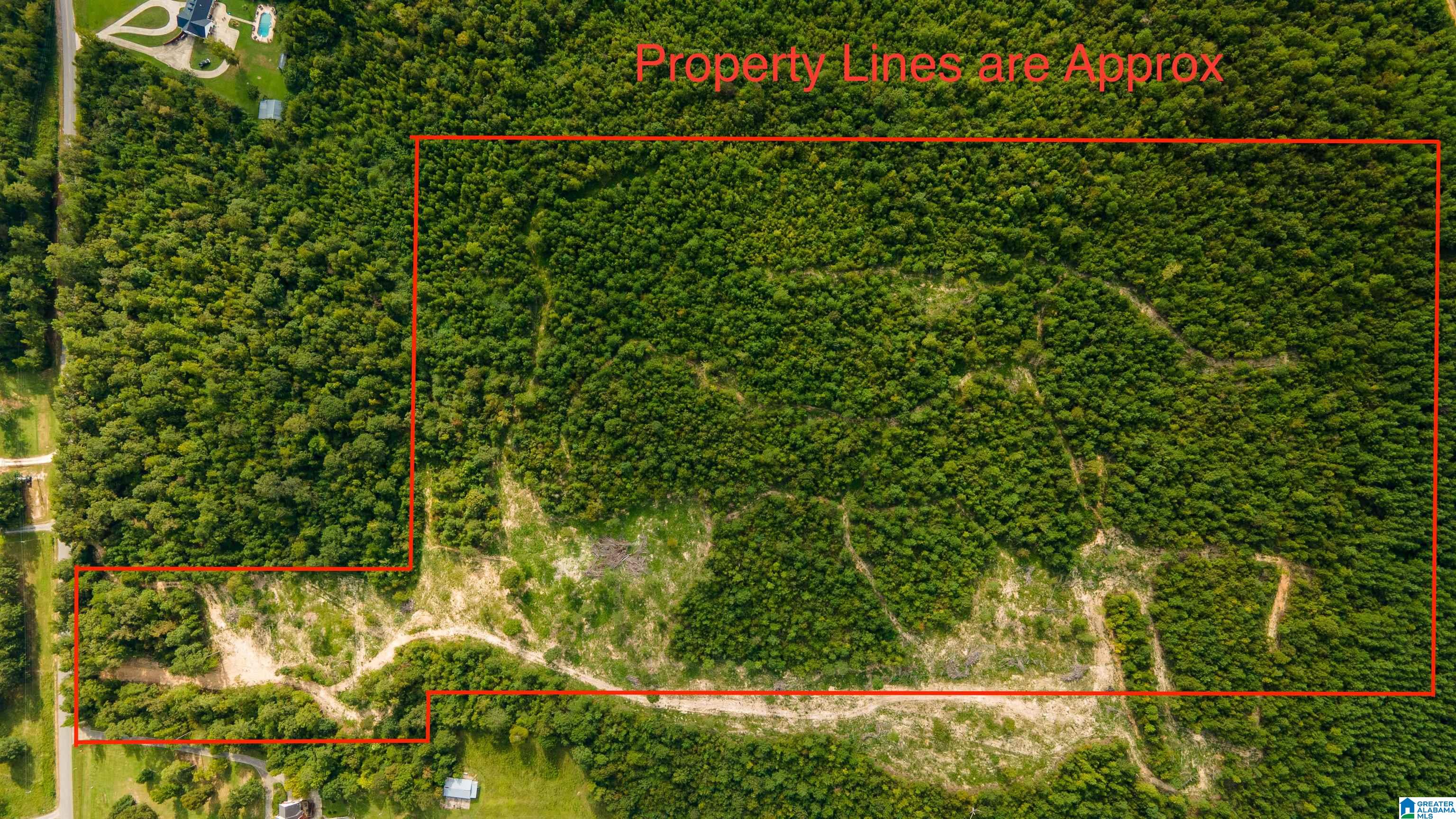 10675 Shoal Creek Road, Unit X Ashville, AL 35953 - Photo 3 of 19