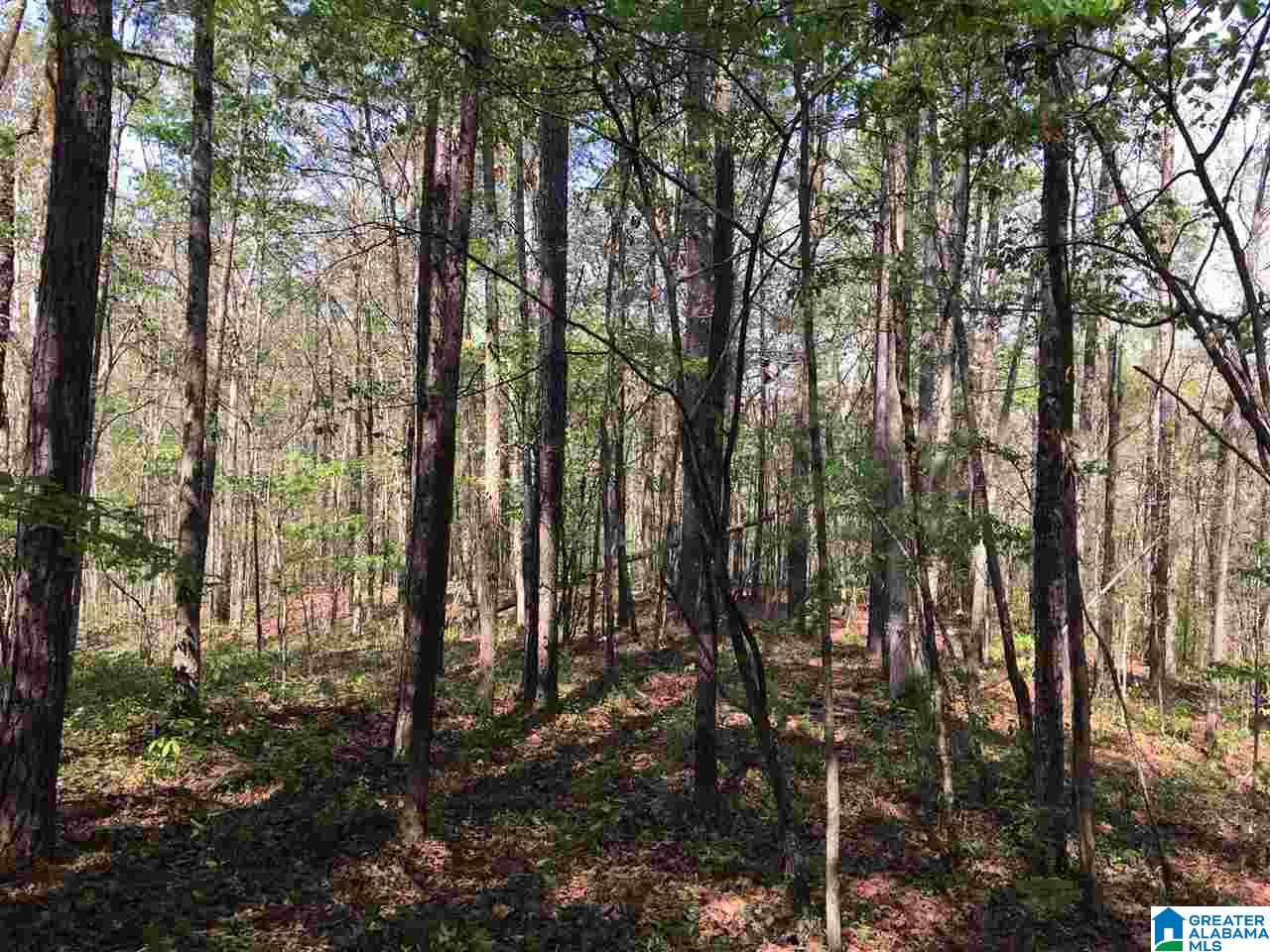 0 Isbell Road, Unit 40 Odenville, AL 35120 - Photo 6 of 13