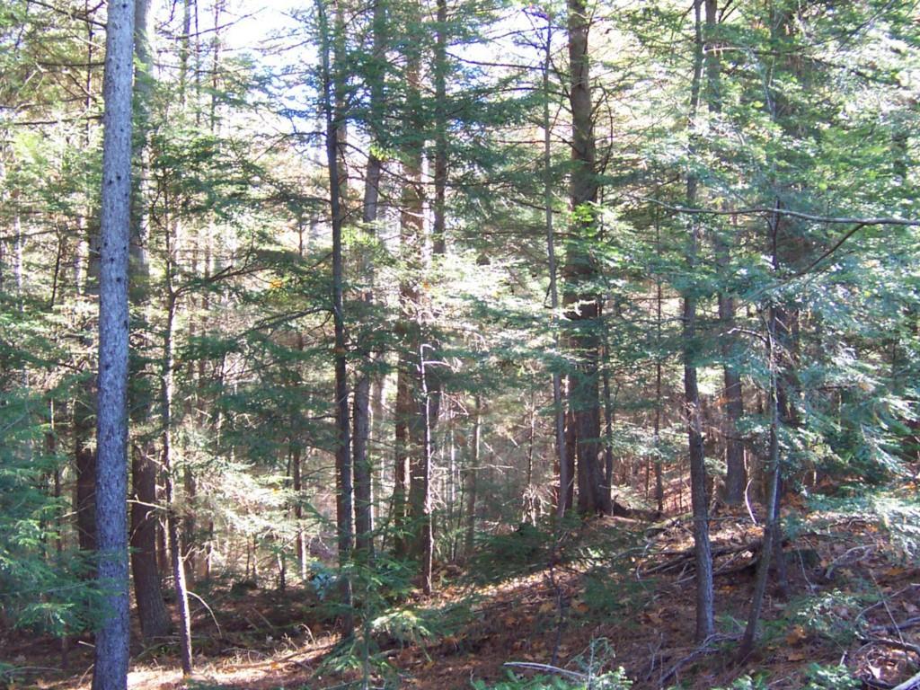 13 Intervale Road Freeport, ME 04032 - Photo 10 of 12 Photo