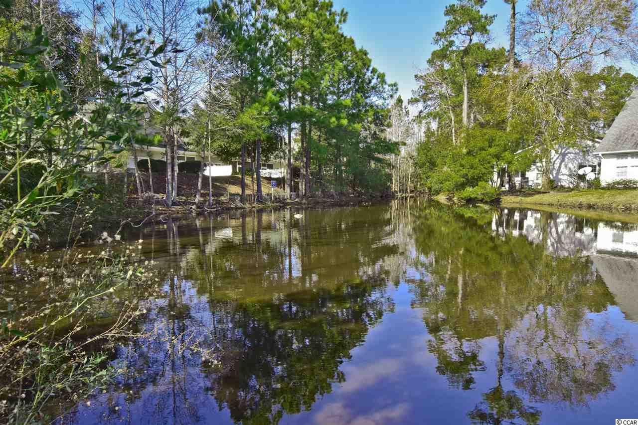 9679 Eaddy Lane Murrells Inlet, SC 29576 - Photo 31 of 33 Gallery Image 31