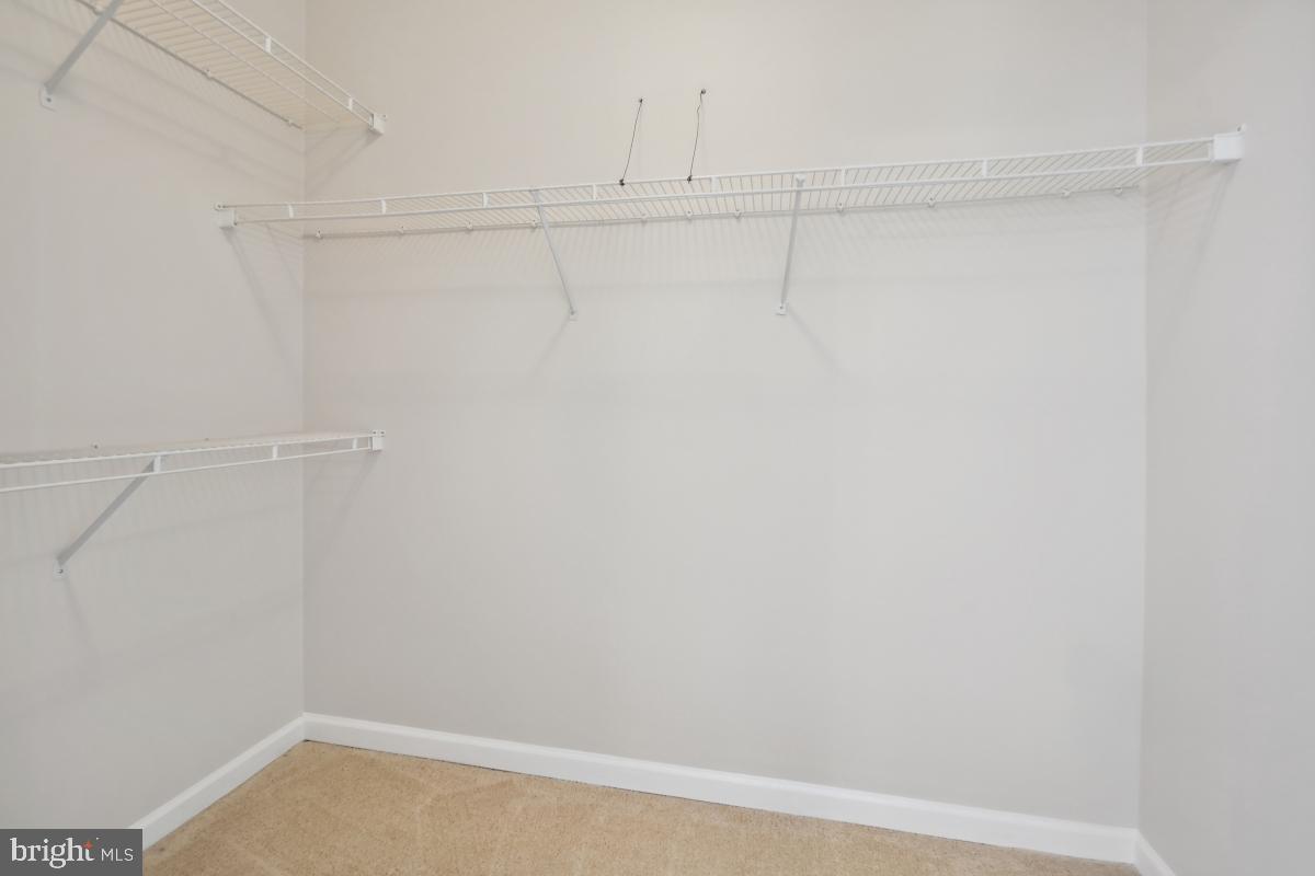 4615 Ripley Manor Terrace Olney, MD 20832 - Photo 14 of 30 Huge walk-in closet with built-in safe!