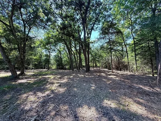 a view of outdoor space with trees