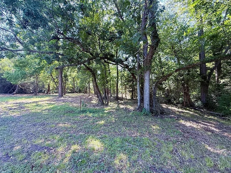 0 Flewellen Road Brenham, TX 77833 - Photo 5 of 6 a view of outdoor space and garden