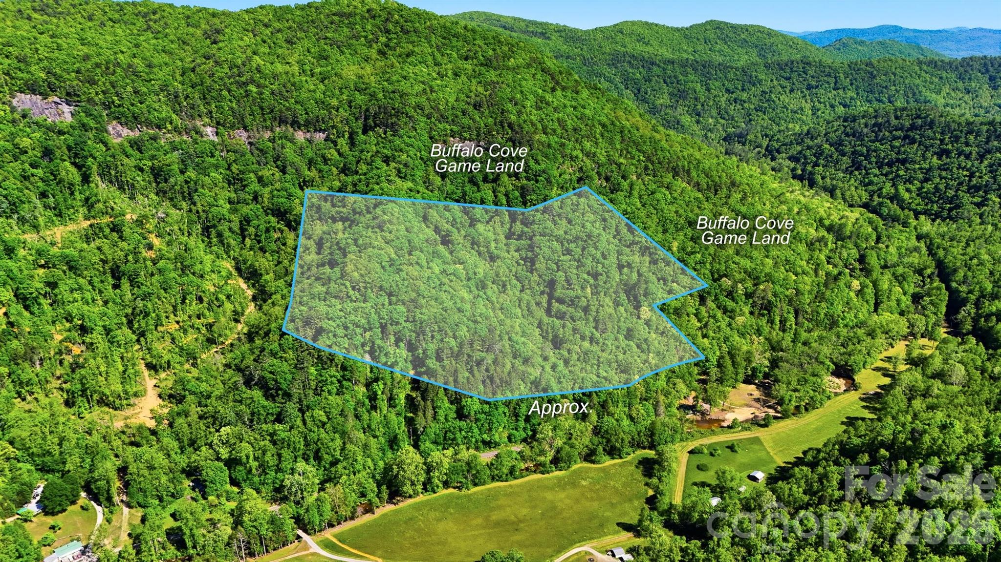 0 Buffalo Cove Road Lenoir, NC 28645 - Photo 1 of 22