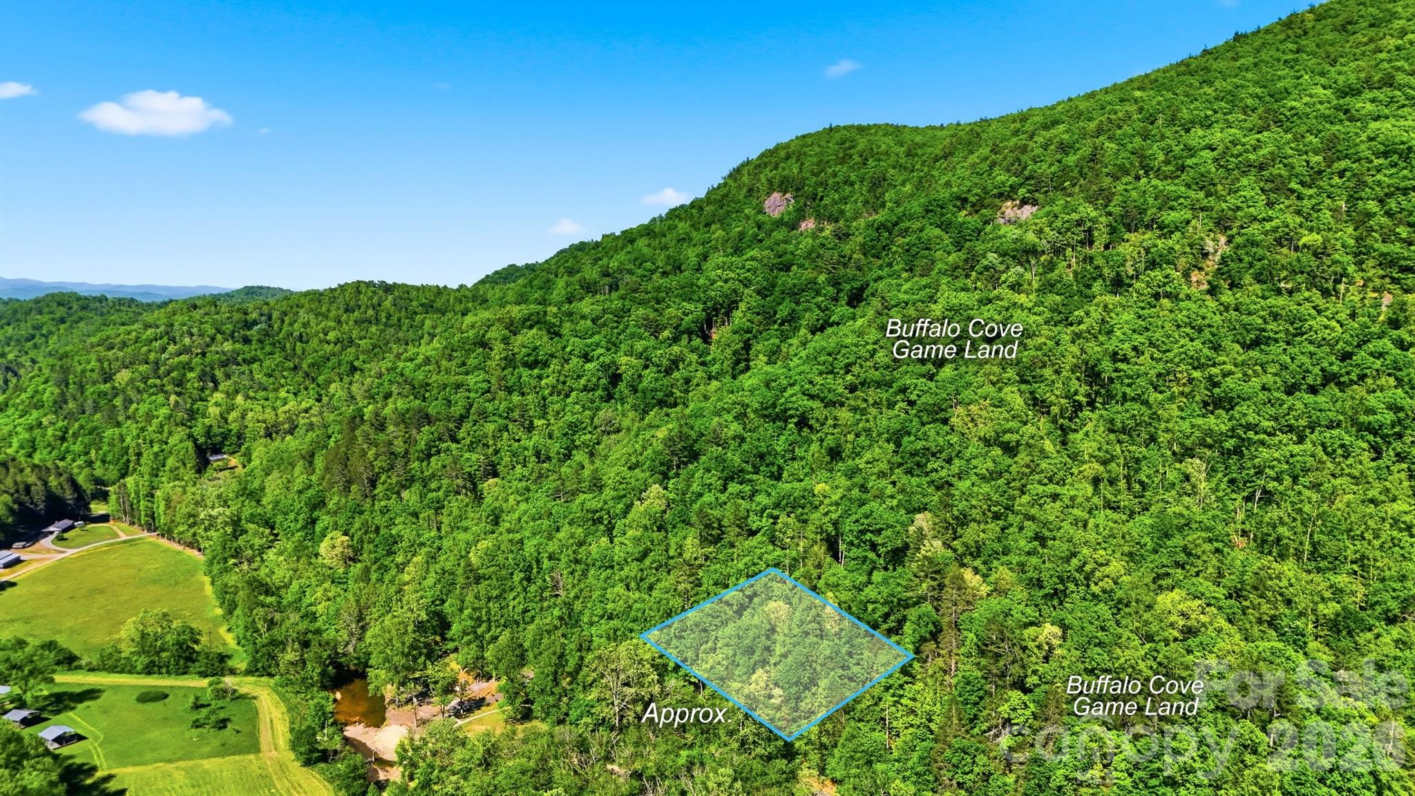 0 Buffalo Cove Road Lenoir, NC 28645 - Photo 11 of 22