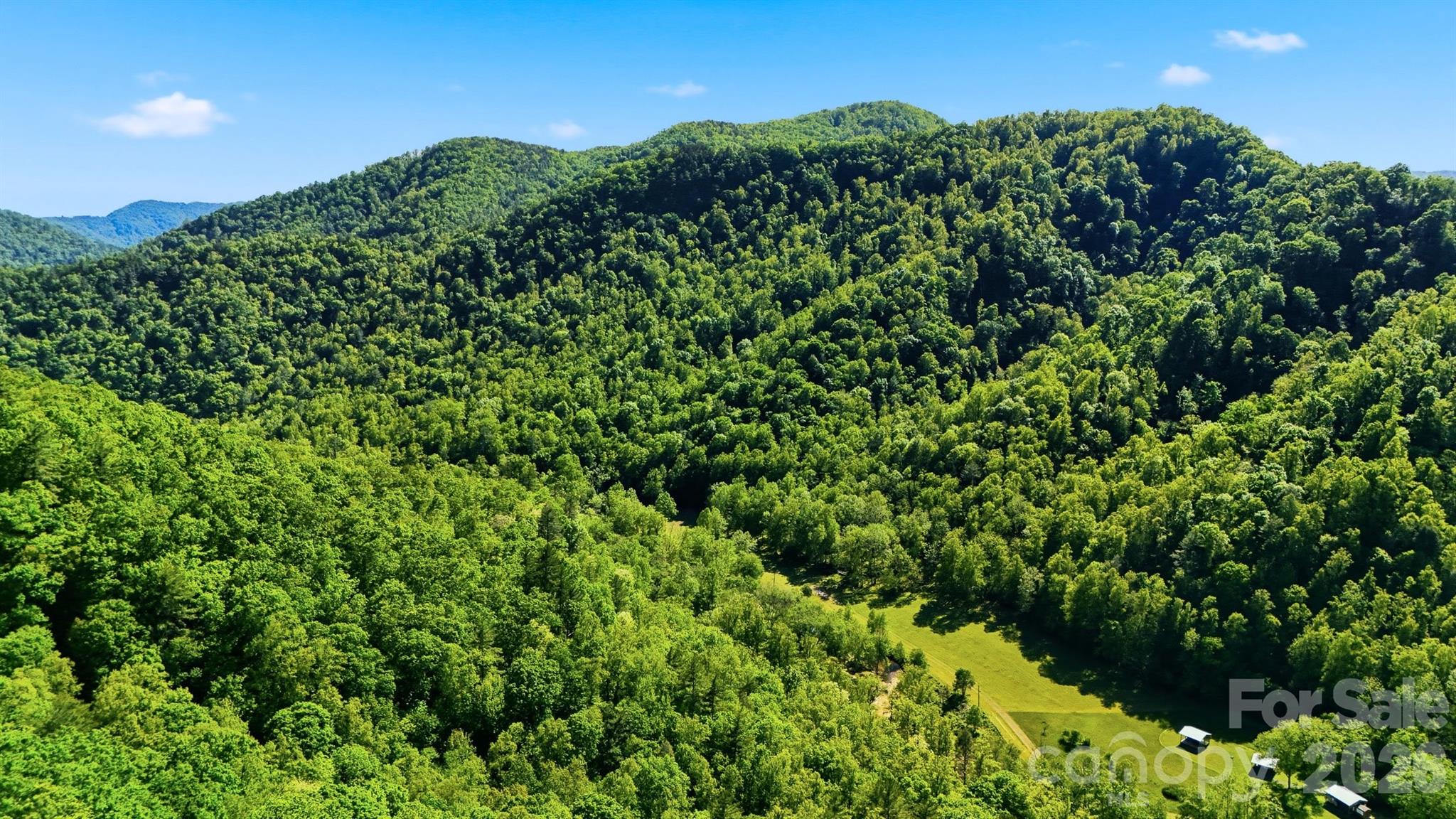 0 Buffalo Cove Road Lenoir, NC 28645 - Photo 13 of 22