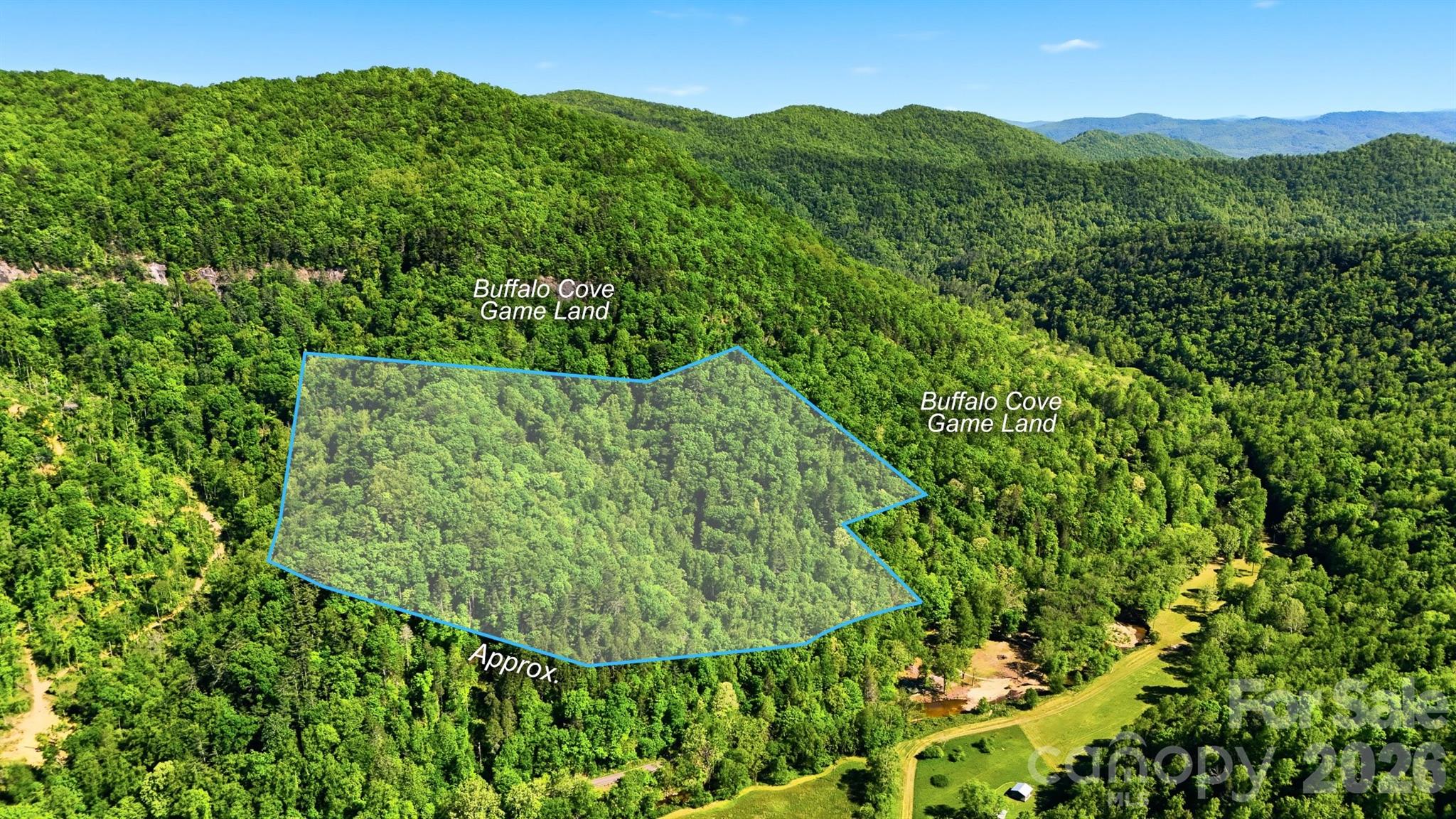 0 Buffalo Cove Road Lenoir, NC 28645 - Photo 3 of 22