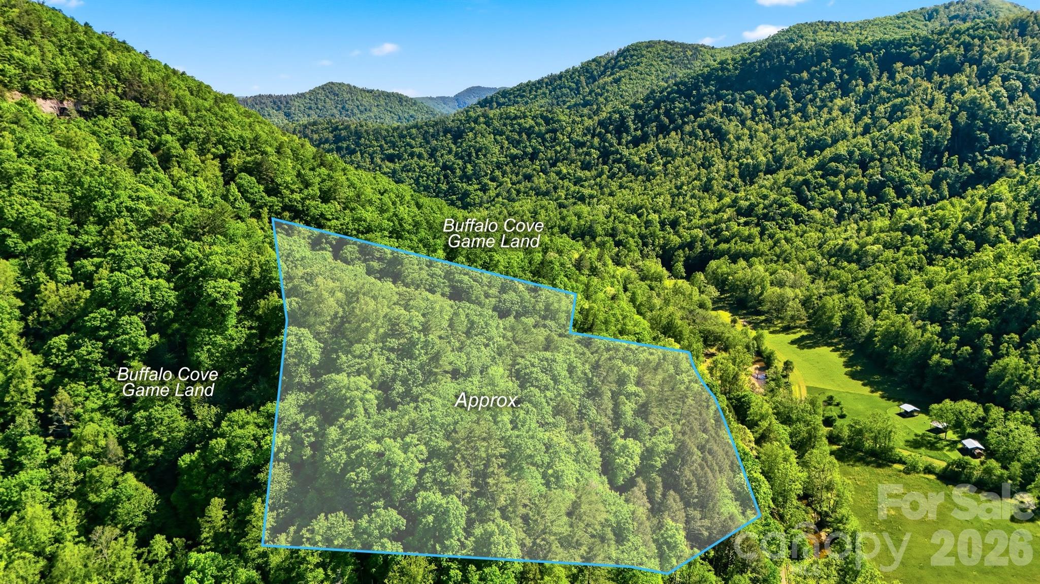 0 Buffalo Cove Road Lenoir, NC 28645 - Photo 5 of 22
