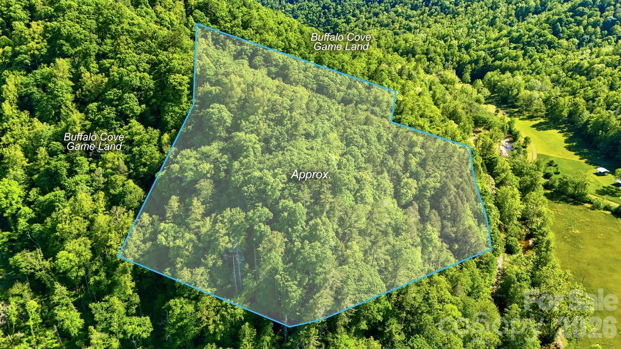 0 Buffalo Cove Road Lenoir, NC 28645 - Photo 6 of 22
