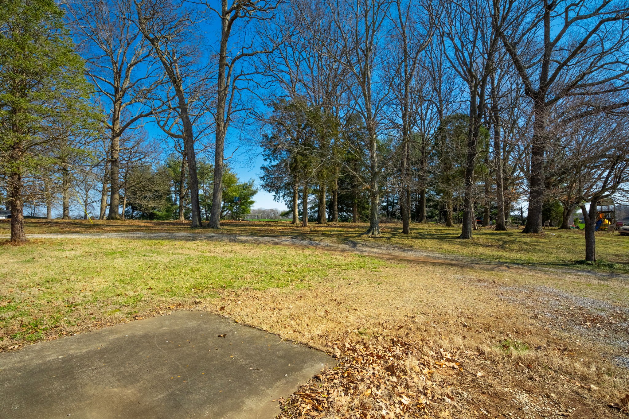 5915 Keysburg Road Adams, TN 37010 - Photo 24 of 26 a view of outdoor space with trees