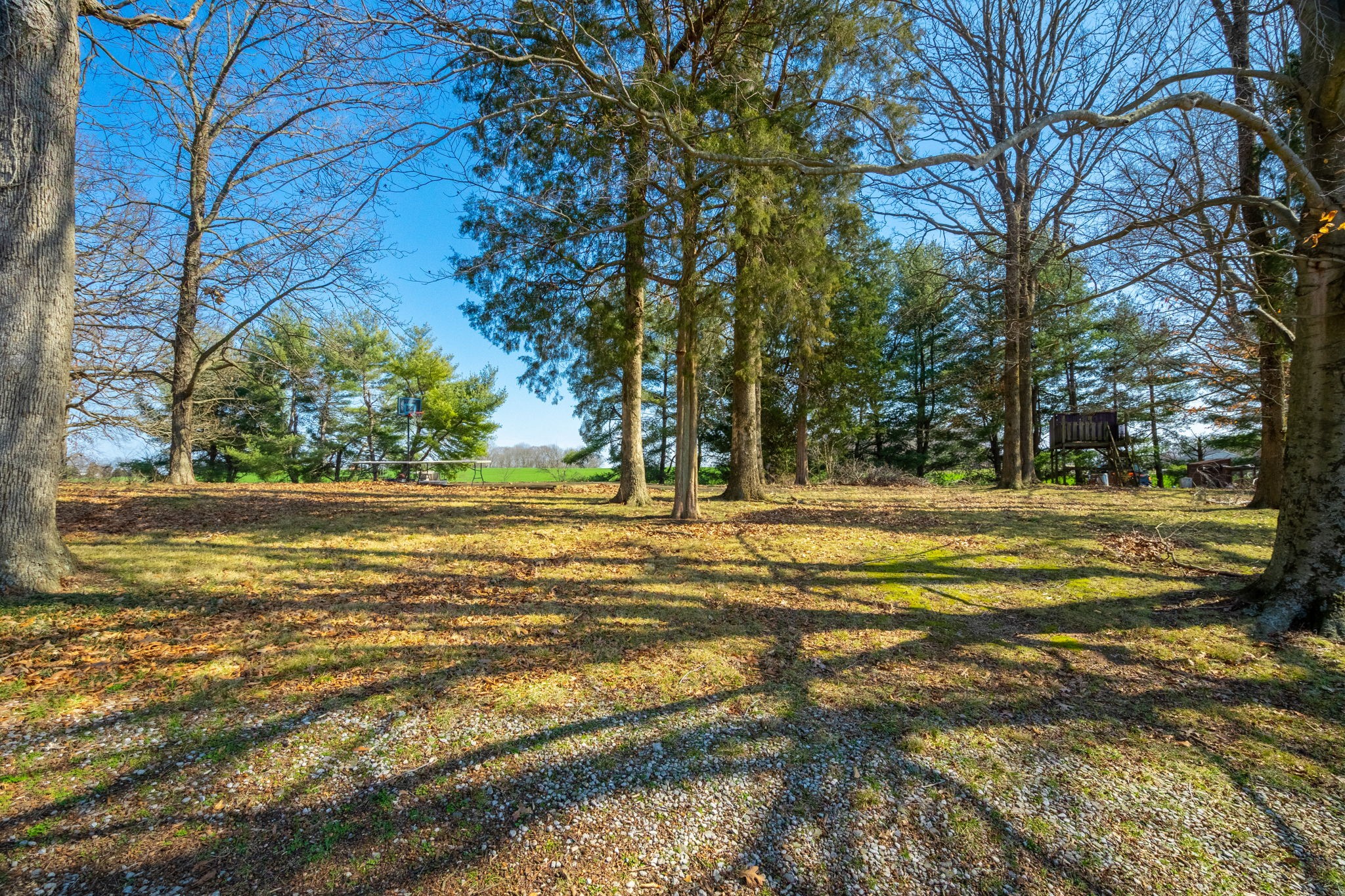 5915 Keysburg Road Adams, TN 37010 - Photo 25 of 26 a view of lake view