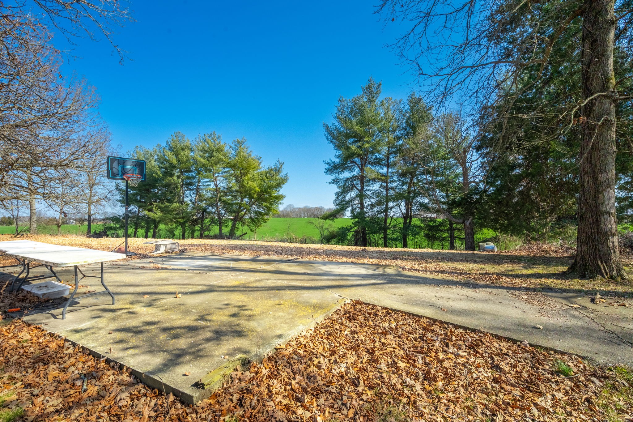 5915 Keysburg Road Adams, TN 37010 - Photo 26 of 26 a view of a swimming pool with a patio