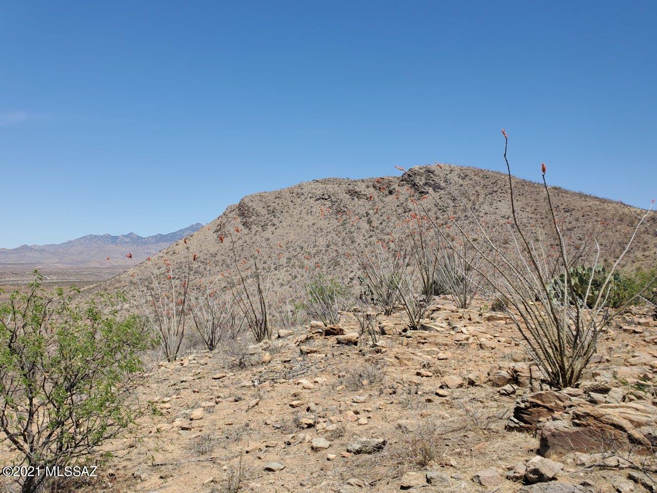 1695 Vía San Cayetano, Unit 7 Rio Rico, AZ 85648 - Photo 28 of 36