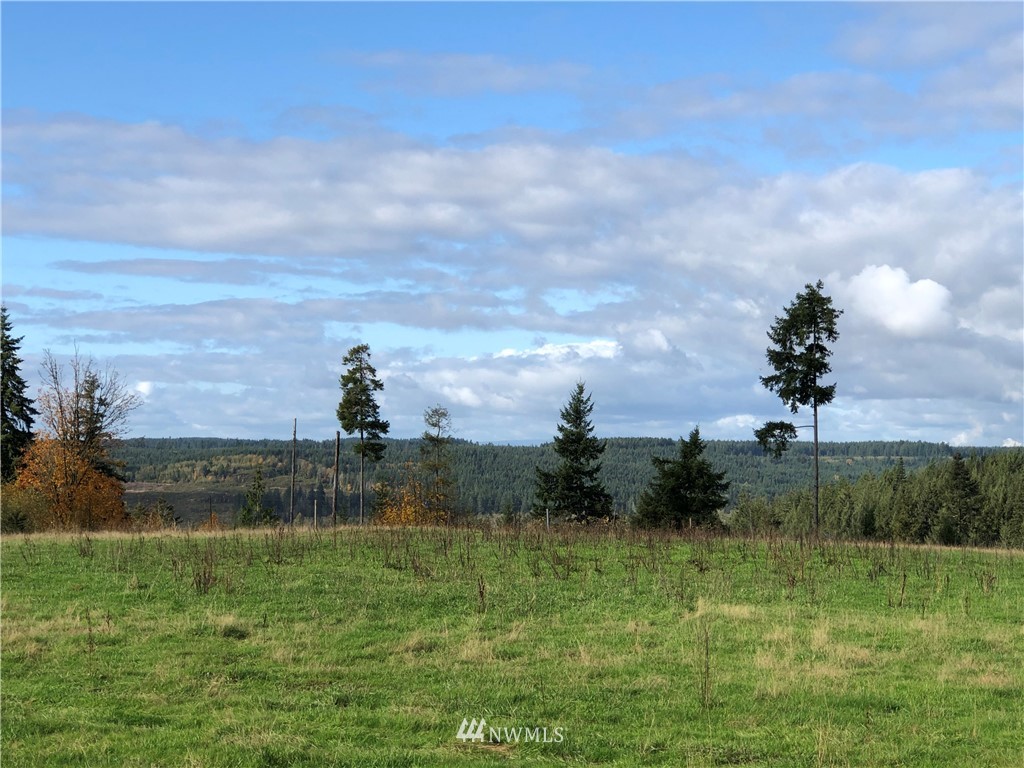 2 Oppelt Road Chehalis, WA 98532 - Photo 1 of 11 a view of a lake with outdoor space