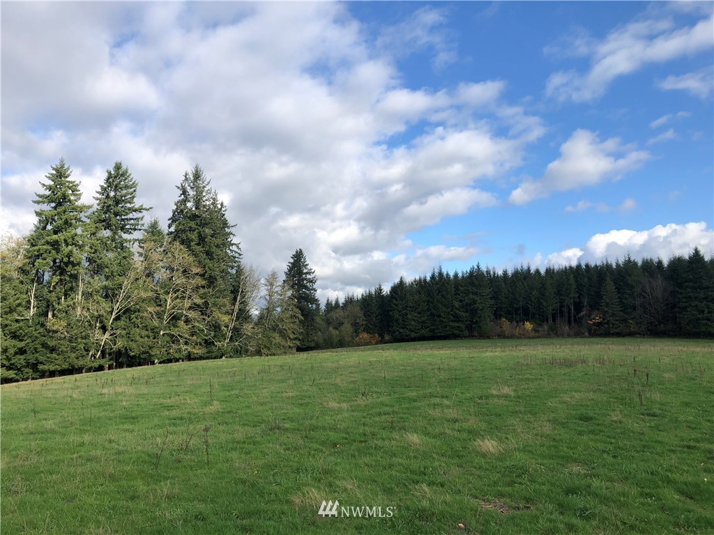 2 Oppelt Road Chehalis, WA 98532 - Photo 11 of 11 a view of a grassy field