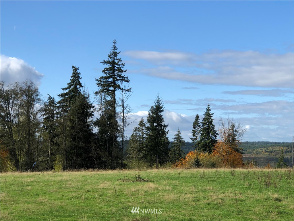 2 Oppelt Road Chehalis, WA 98532 - Photo 2 of 11 a backyard of a building with trees in the background