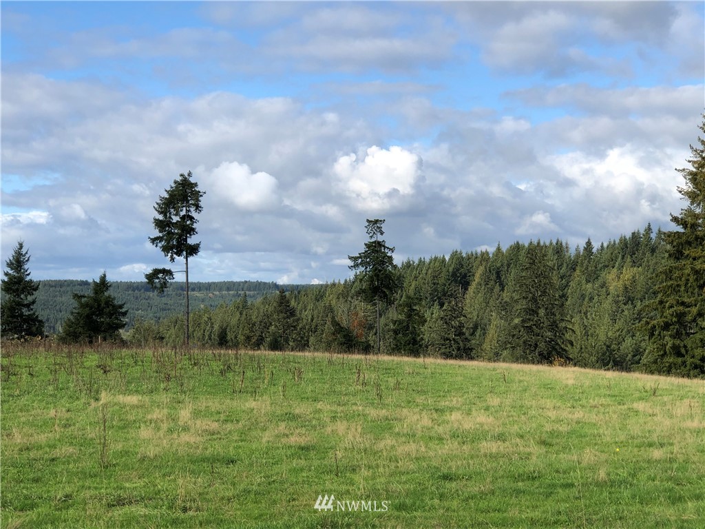 2 Oppelt Road Chehalis, WA 98532 - Photo 3 of 11 a view of a garden