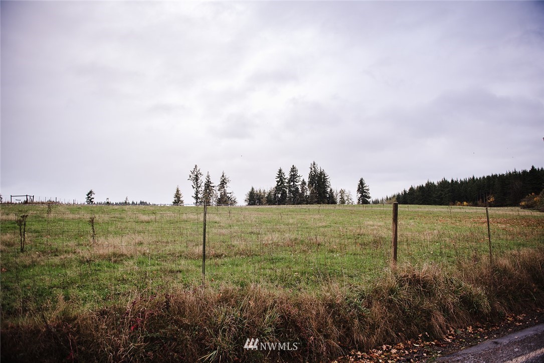 2 Oppelt Road Chehalis, WA 98532 - Photo 4 of 11 a view of a lake from a yard