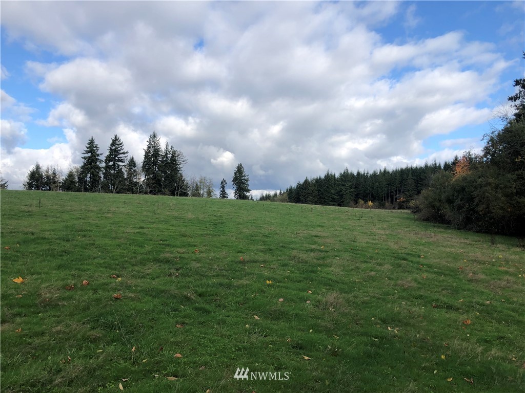 2 Oppelt Road Chehalis, WA 98532 - Photo 9 of 11 a view of a big yard
